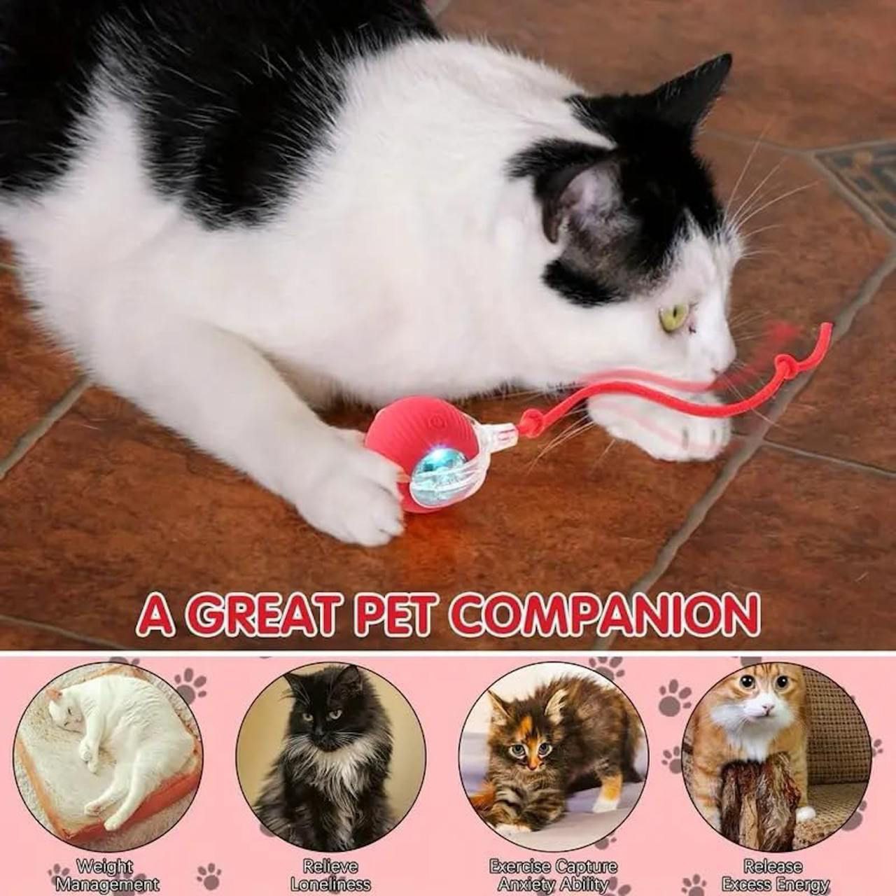 Automatic Cat Teaser Ball – Smart LED Interactive Pet Toy